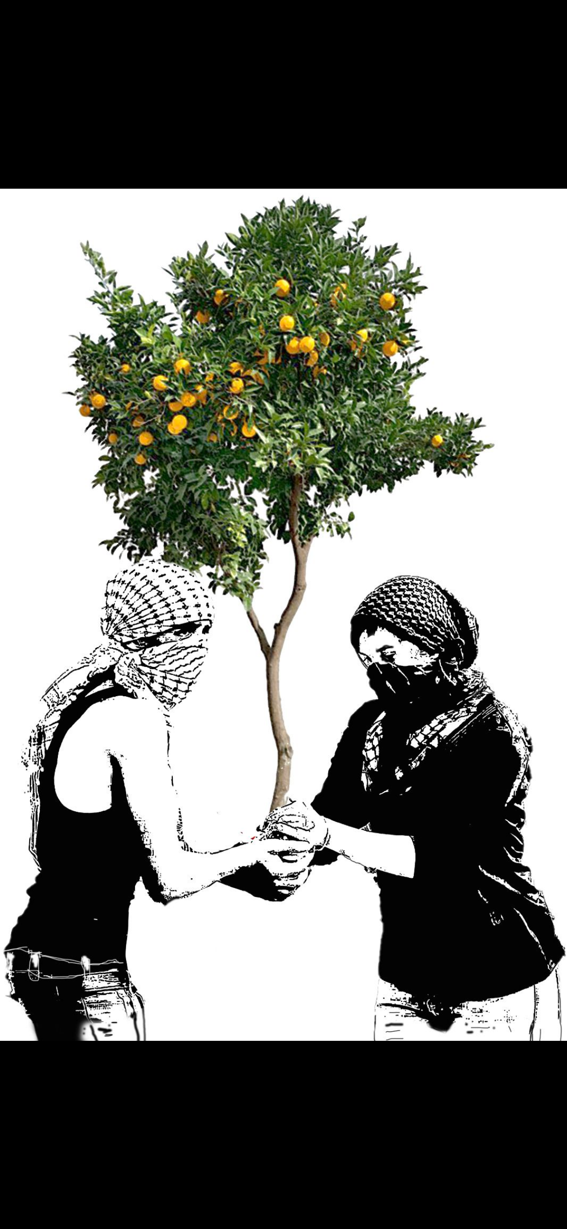 The Orange Tree